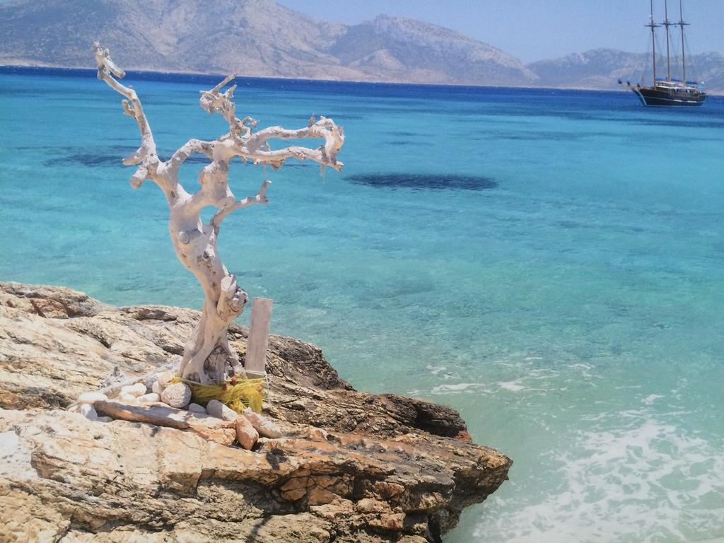 Paros Rooms Dora חדר תמונה