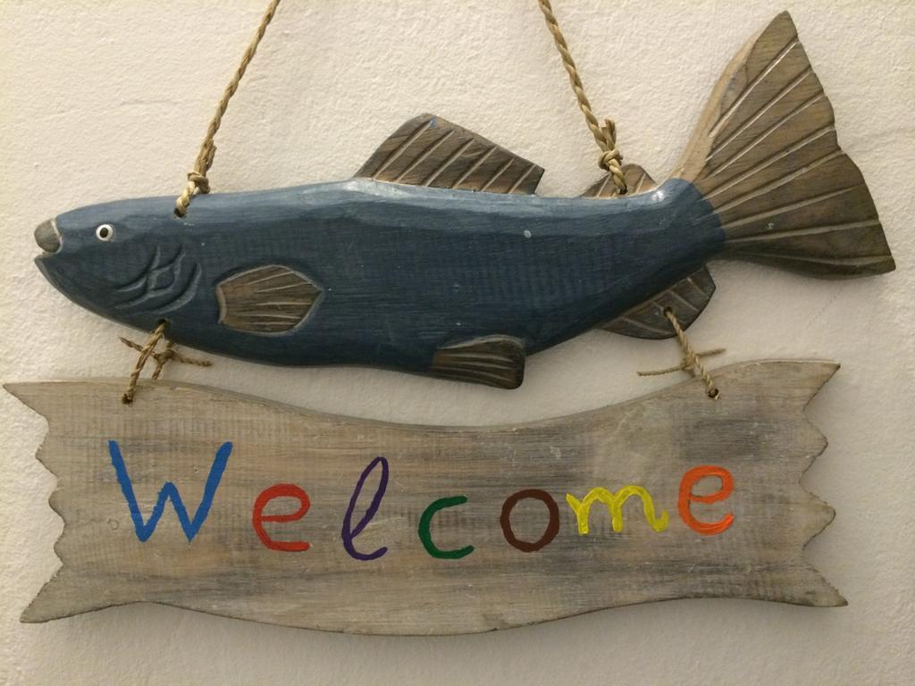 Paros Rooms Dora חדר תמונה